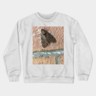 moth mask Crewneck Sweatshirt